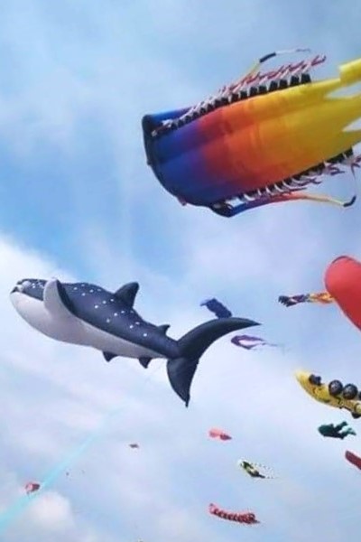 Soar to New Heights: Discover the Magic of the Kabong International Kite Festival!