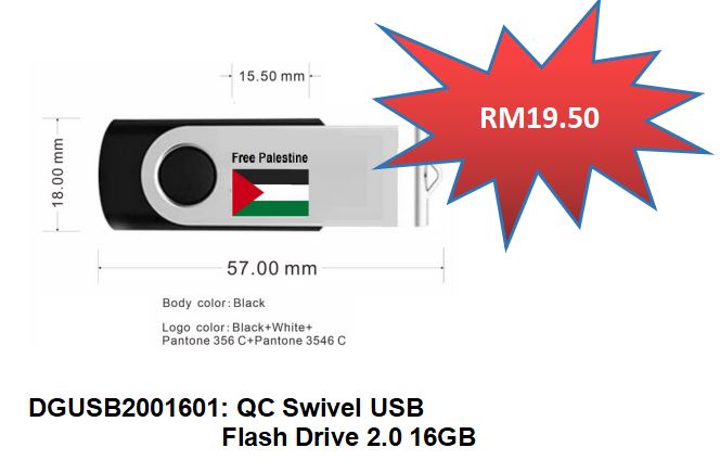 Rantai kunci USB/USB Key chain