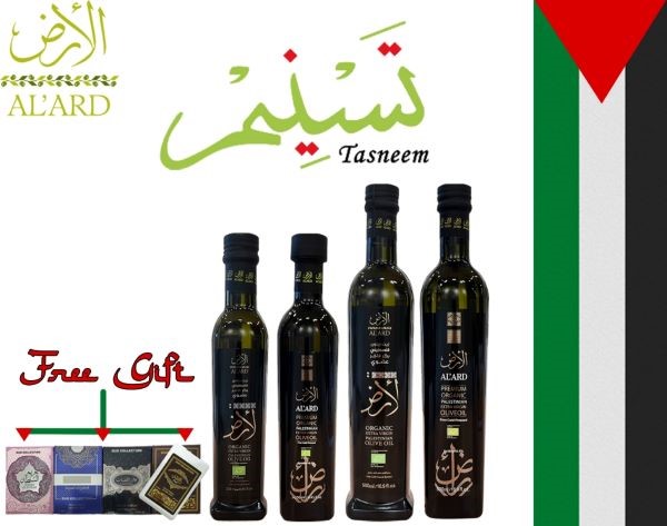 Top 7 Palestinian Olive Oil Brands You Need to Try 2024
