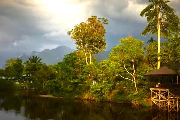 Embark on an Adventure: Exploring the Wonders of Mulu National Park