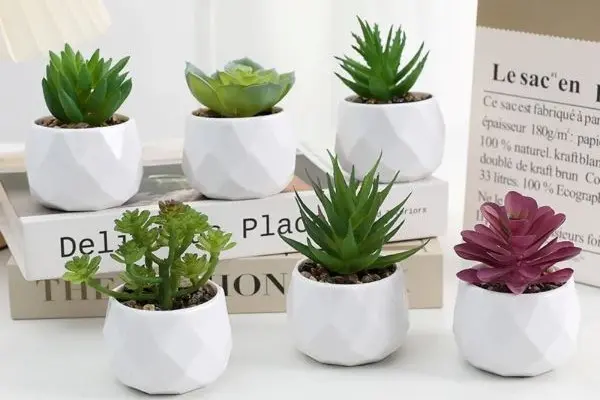 Unique Door Gift Ideas for Weddings