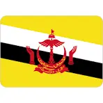 Brunei Flag icon SVG Vector & PNG Free Download | UXWing