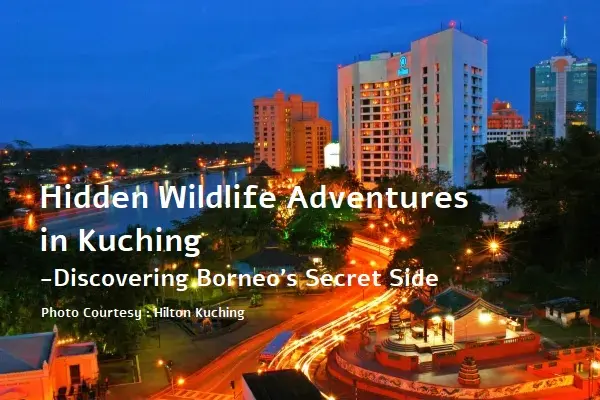 Hidden Wildlife Adventures in Kuching: Discovering Borneo’s Secret Side