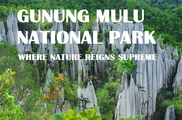 Gunung Mulu National Park: A Jungle Wonderland Where Nature Reigns Supreme