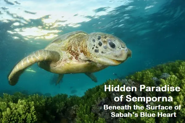 Hidden Paradise of Semporna: Beneath the Surface of Sabah’s Blue Heart