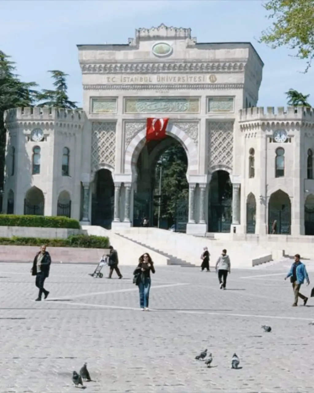 University.webp