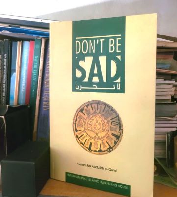 Rediscovering Resilience: A Journey with 'Don't Be Sad'