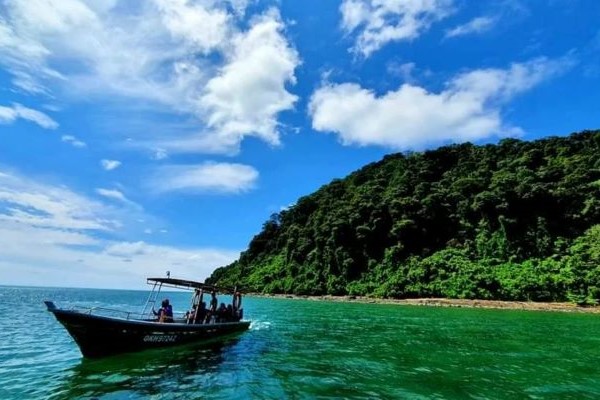 🐬 🏝️ 🐢Discover Serenity: Satang Island Day Trip with Dolphin Watching in Sarawak