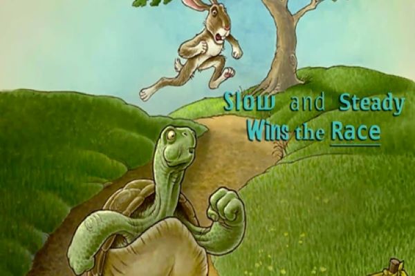 turtle4.jpg